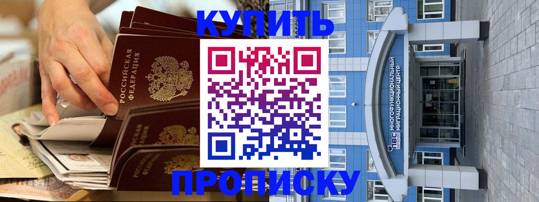 прописка гарантия в Эртили